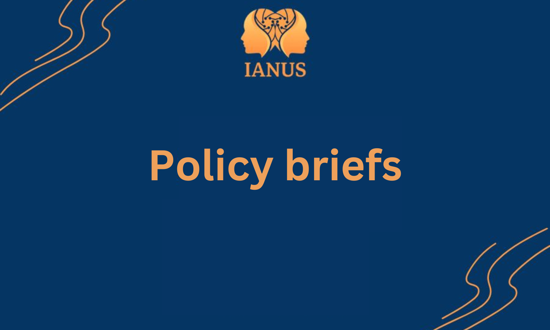policy briefs